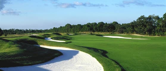 Indian River Preserve Golf Club