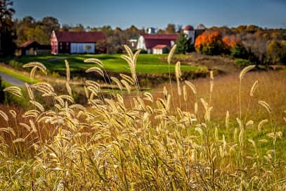 Little Bennett Golf Course
