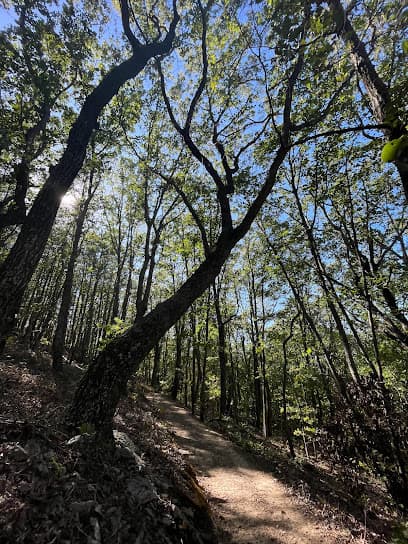 Sawnee Mountain Park