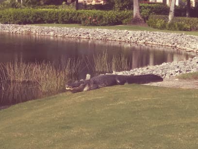 Bonita Bay Club Golf Shop