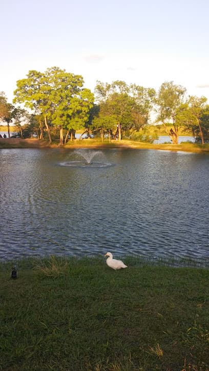 Live Oak's Main City Park