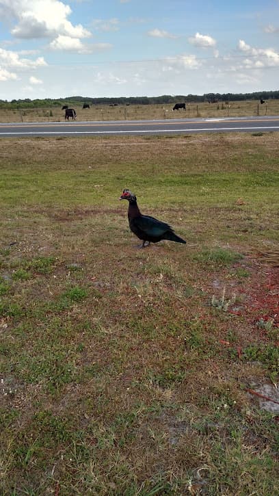 Tropical Acre Estates Club House