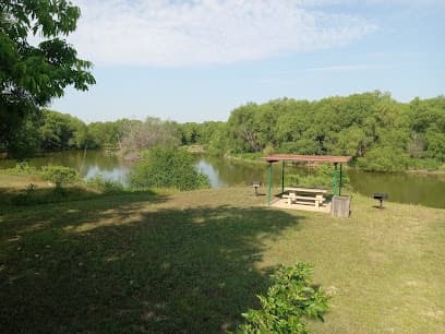 Trophy Club Park Sycamore Tree