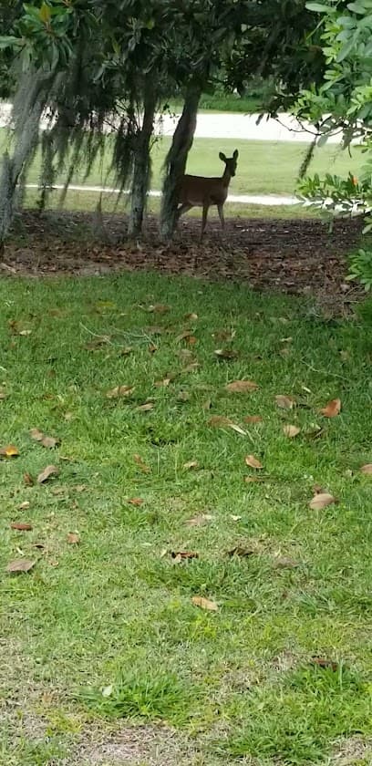 Grande Oaks Golf Maintenance