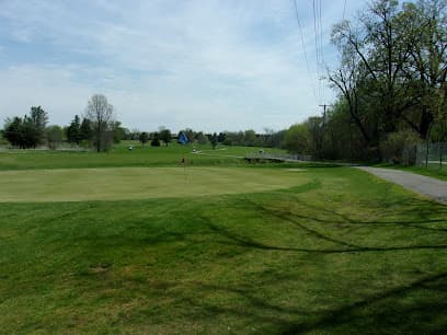 Flint Fade Skins Golf League