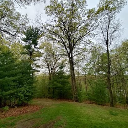 Newton Hill Tennis Courts