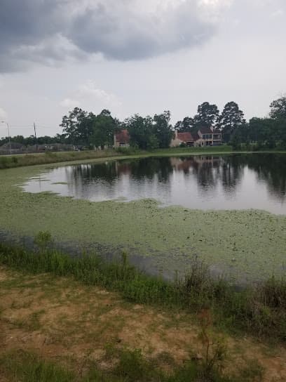 Newport Back Duck Pond