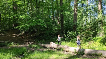 John Mastenbrook-Greenway Downs Park