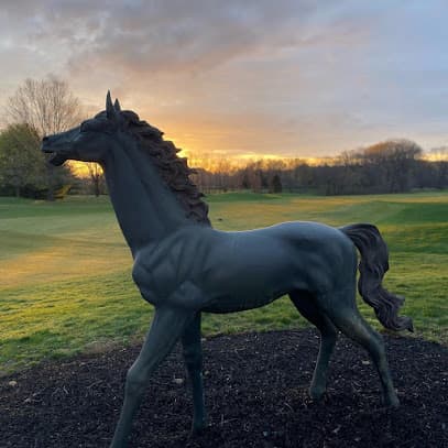 THE COLTS NECK GOLF CLUB