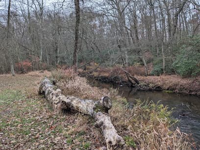 Lakewood Renaissance Faire
