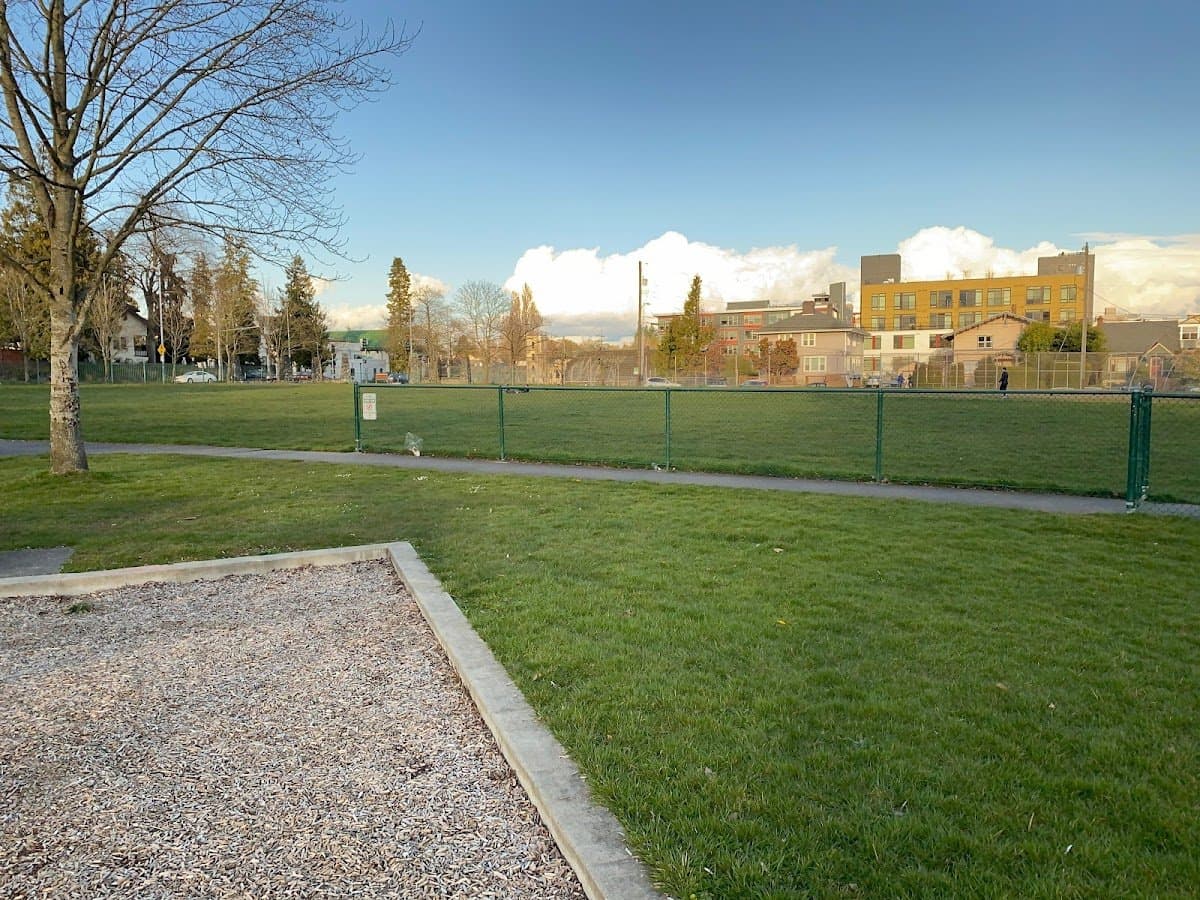 University Playground